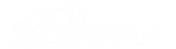 Rayomarine logo